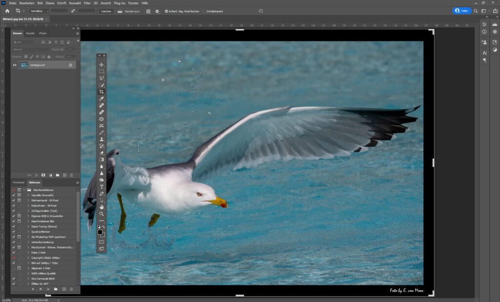 Bildbearbeitung mit Lightroom oder Fotograf in Luzern